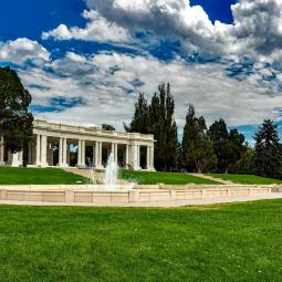 a close up of a lush green field