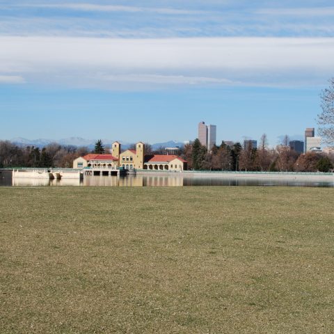 a large green field with trees in the background