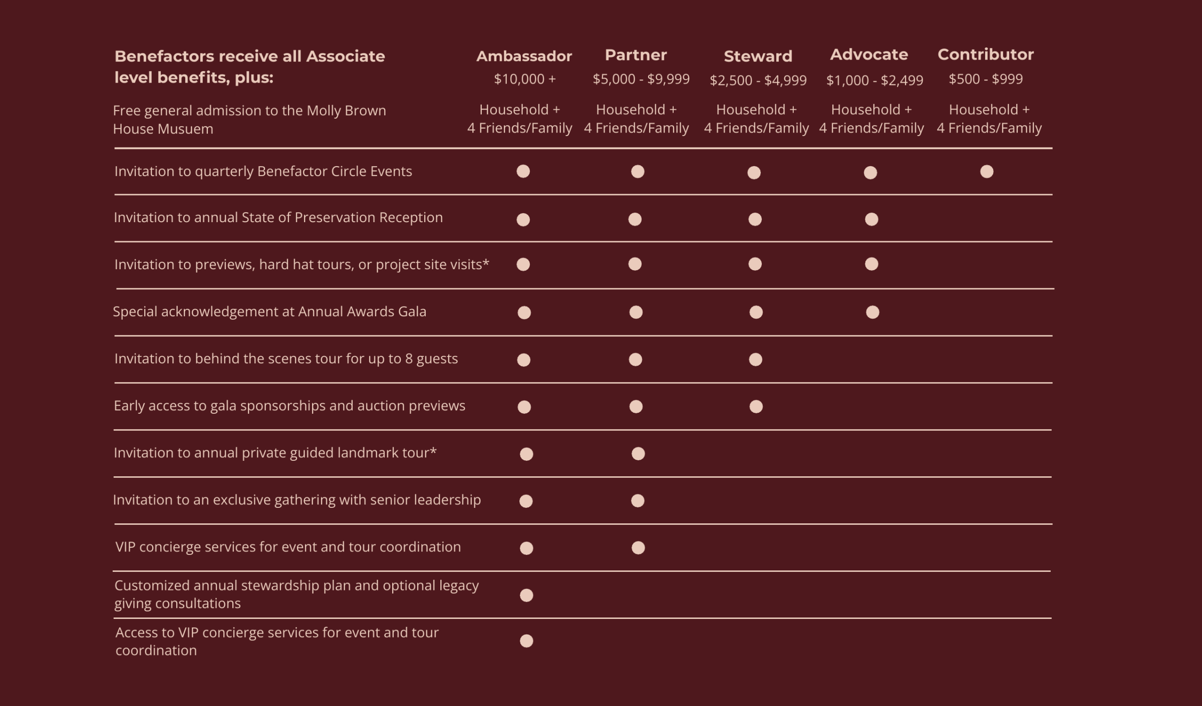 Membership benefit chart for five levels with checked items.